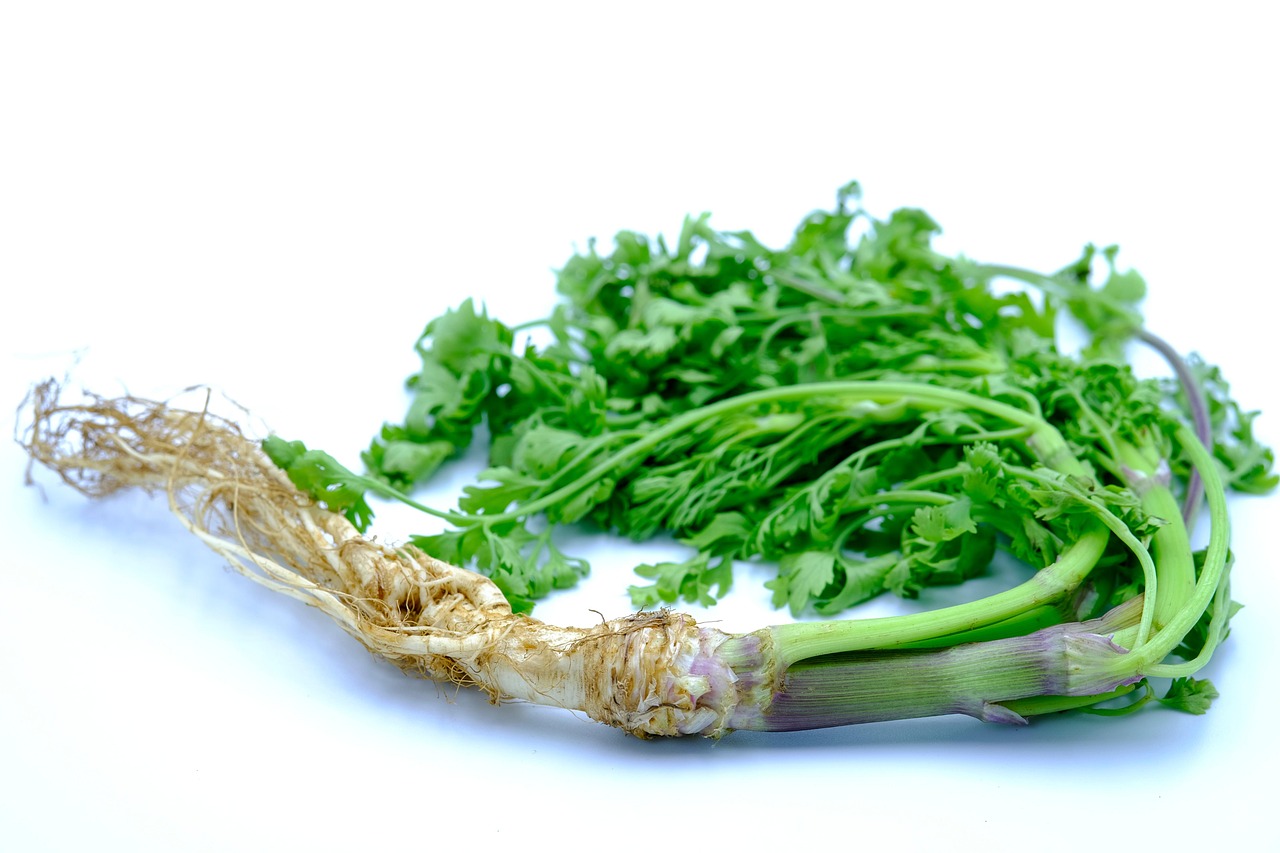 Coriander Seed vs Cilantro Leaf: Why the Two Oils Smell So Different