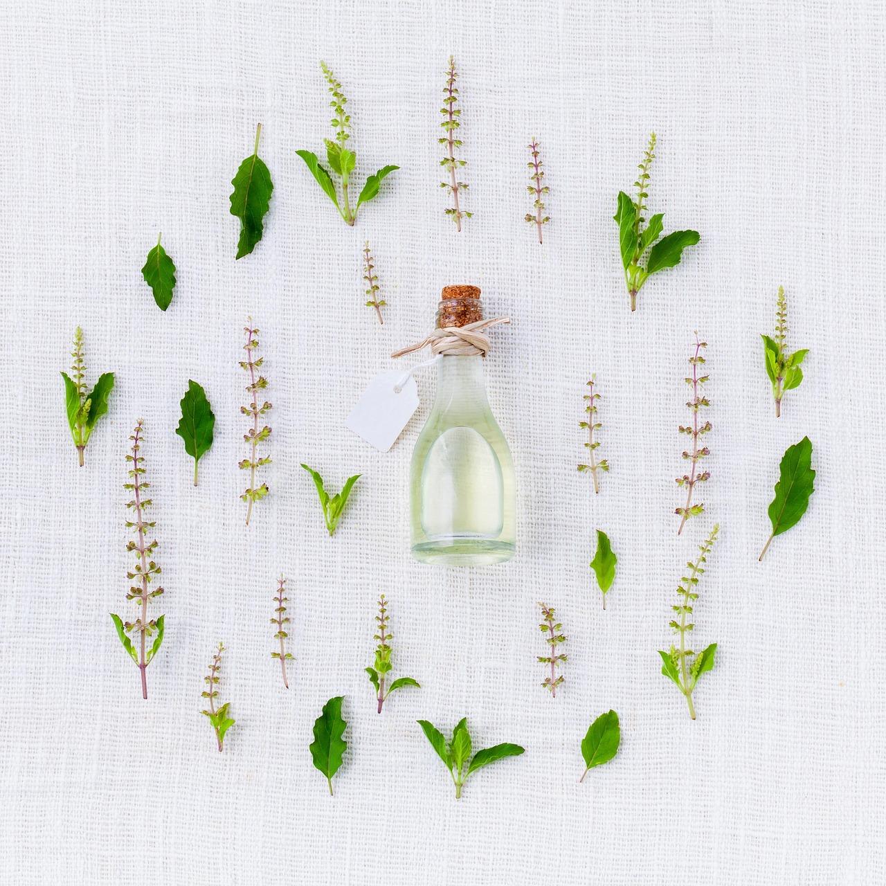 DIY Coriander Perfume: Spicy Citrus Cologne Recipes to Mix at Home